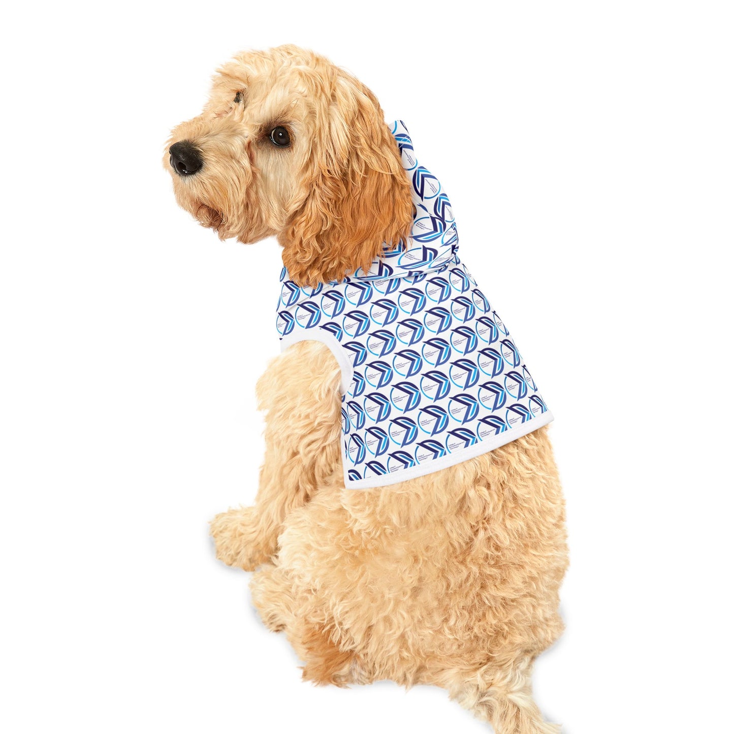 Pet Hoodie - College of Biomedical Equipment Technology