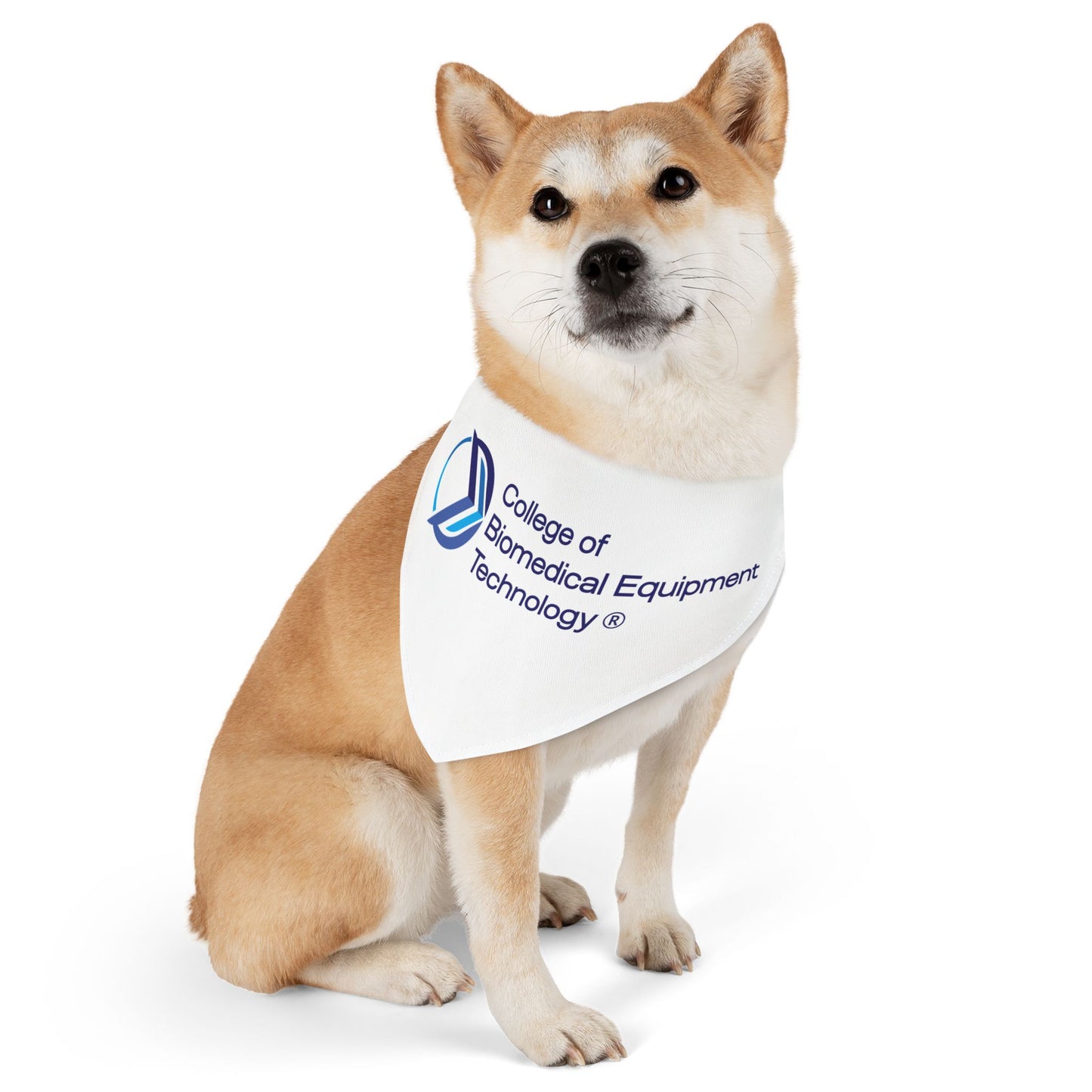 Pet Bandana Collar - College of Biomedical Equipment Technology