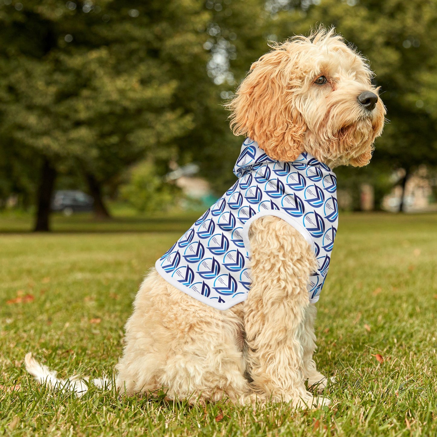 Pet Hoodie - College of Biomedical Equipment Technology