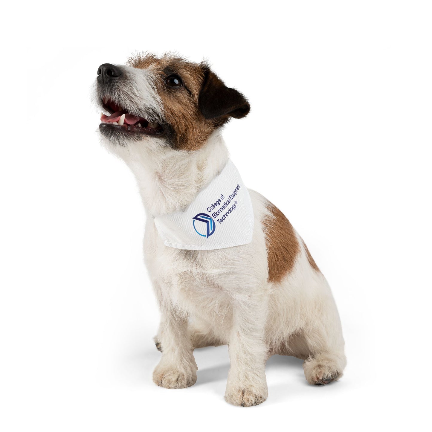 Pet Bandana Collar - College of Biomedical Equipment Technology