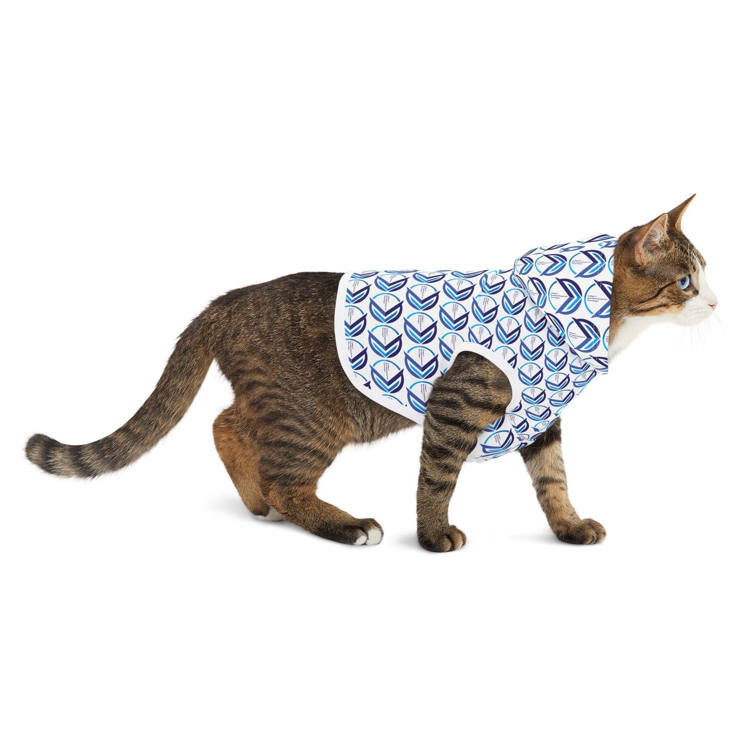 Pet Hoodie - College of Biomedical Equipment Technology