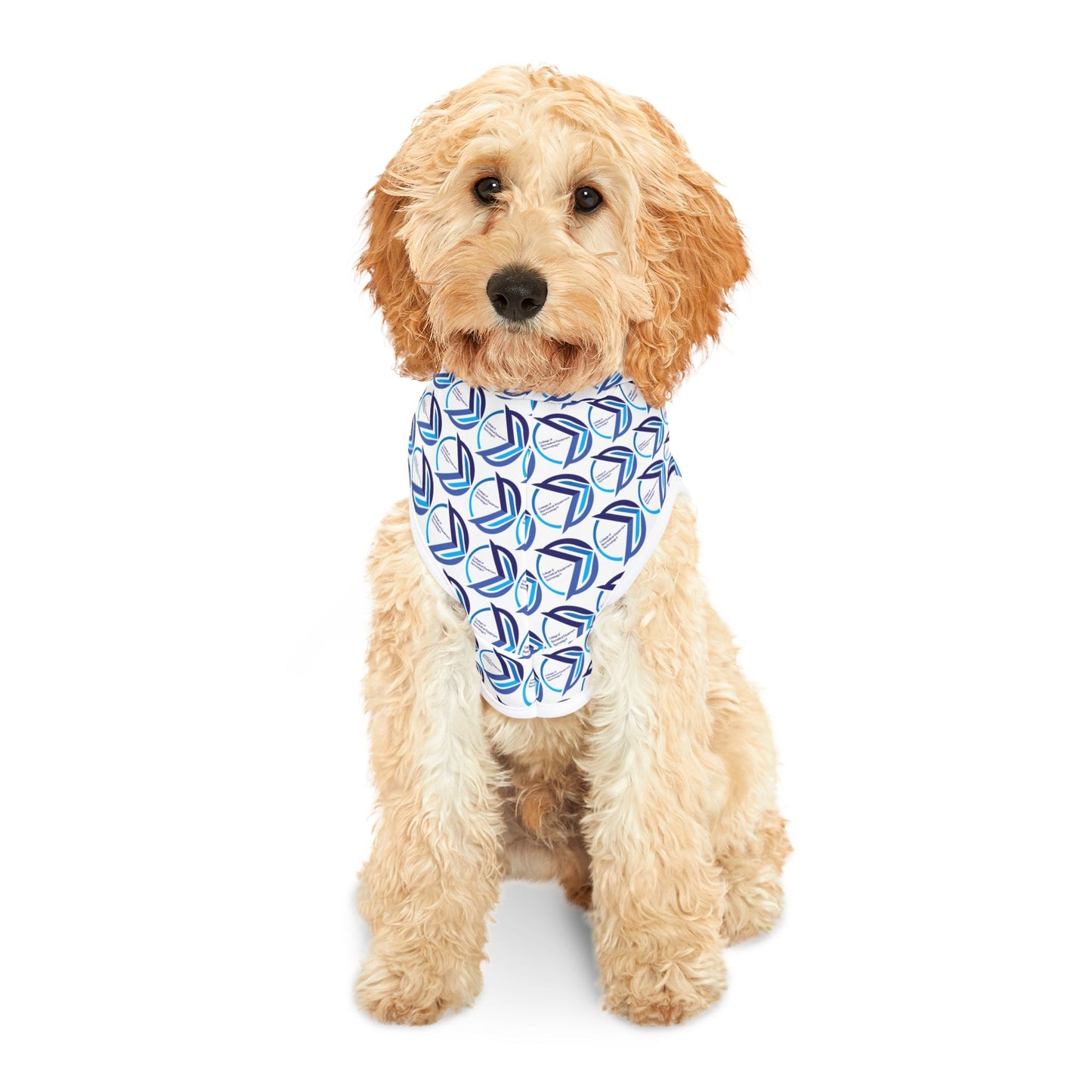 Pet Hoodie - College of Biomedical Equipment Technology