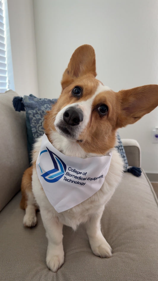 Pet Bandana Collar - College of Biomedical Equipment Technology